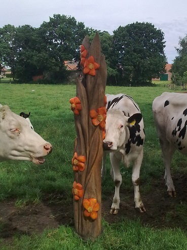 Rankgewaechs mit Blumen